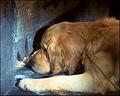 PDVD_1774