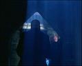 PDVD_1798
