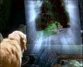 PDVD_245