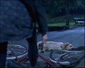 PDVD_312