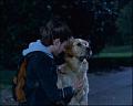 PDVD_316