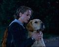 PDVD_318