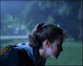 PDVD_329