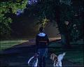 PDVD_342