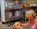 PDVD_371