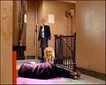 PDVD_447