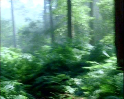 PDVD_1152.jpg