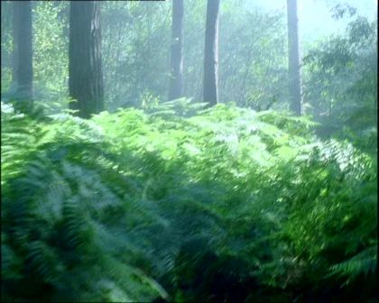 PDVD_1153.jpg