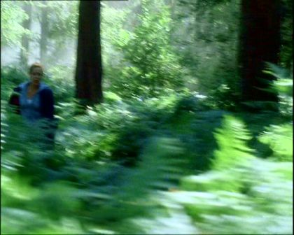 PDVD_1154.jpg
