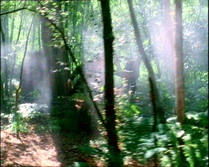PDVD_1160.jpg