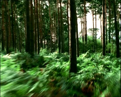 PDVD_1226.jpg