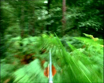 PDVD_1231.jpg