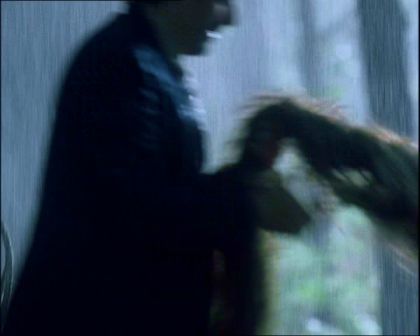 PDVD_1283.jpg