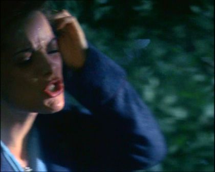 PDVD_1286.jpg
