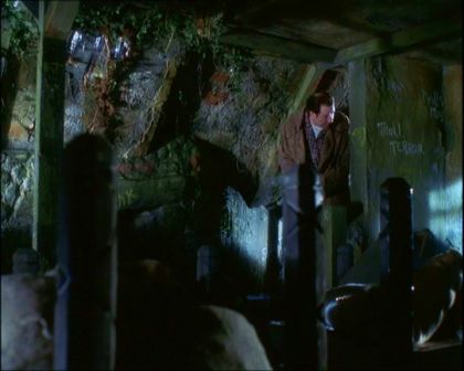 PDVD_1300.jpg