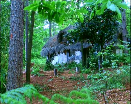 PDVD_1340.jpg