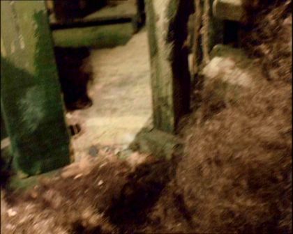 PDVD_1348.jpg