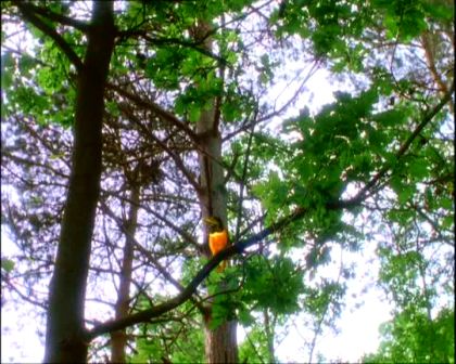 PDVD_1369.jpg