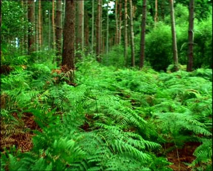 PDVD_1390.jpg