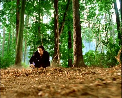 PDVD_1409.jpg