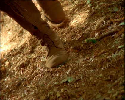 PDVD_1424.jpg