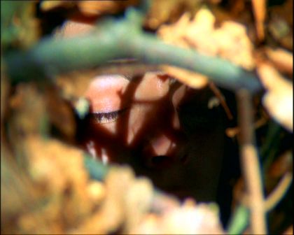 PDVD_1429.jpg