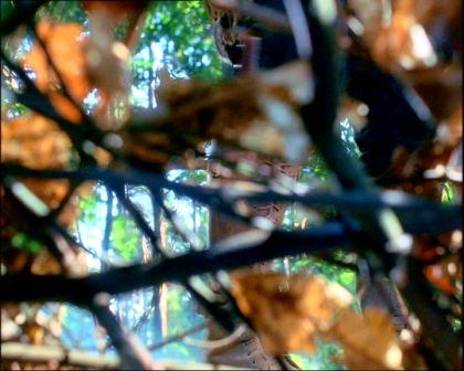 PDVD_1430.jpg