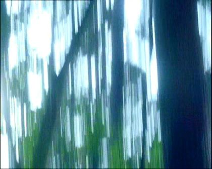 PDVD_1451.jpg