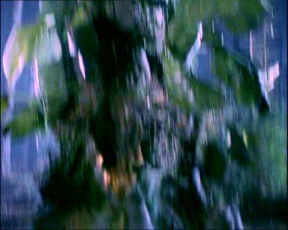 PDVD_146.jpg