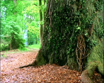 PDVD_1490.jpg