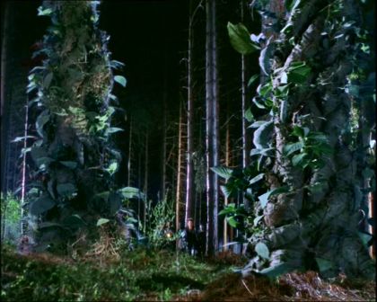 PDVD_175.jpg