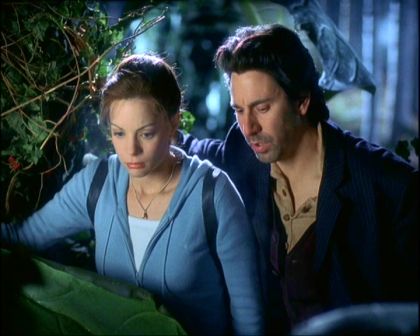 PDVD_194.jpg