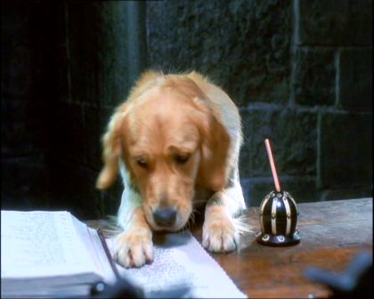 PDVD_225.jpg