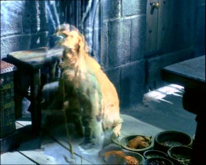 PDVD_323.jpg