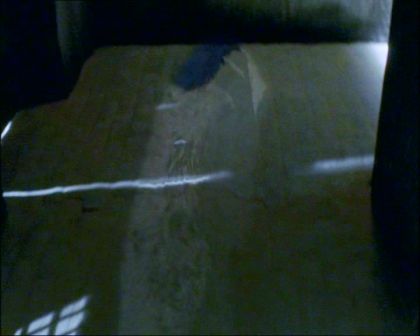PDVD_334.jpg