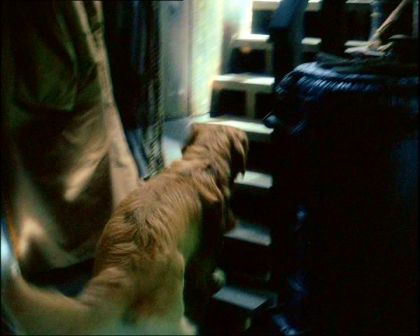 PDVD_547.jpg