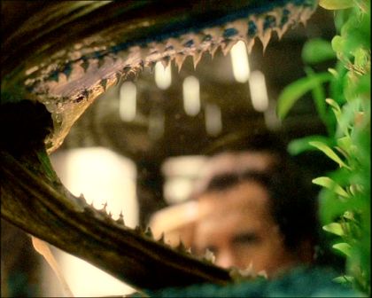 PDVD_554.jpg