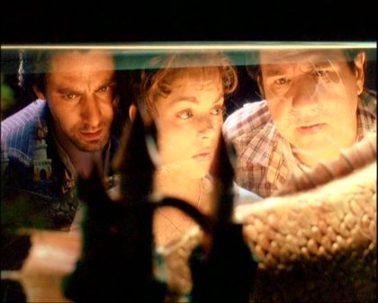 PDVD_568.jpg