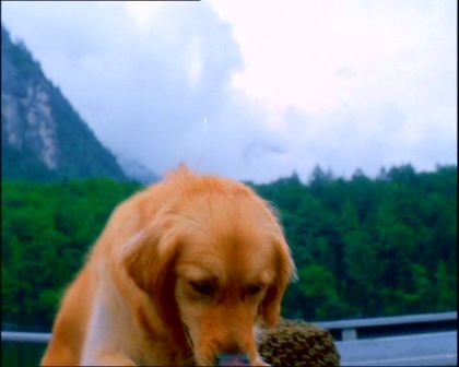 PDVD_691.jpg