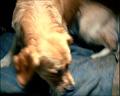 PDVD_546