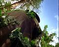 PDVD_929