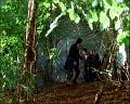 PDVD_948