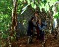 PDVD_950