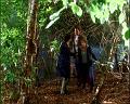 PDVD_951