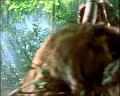 PDVD_958