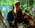 PDVD_960