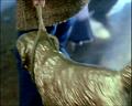 PDVD_969