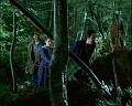 PDVD_972