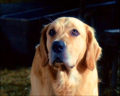 PDVD_1044.jpg