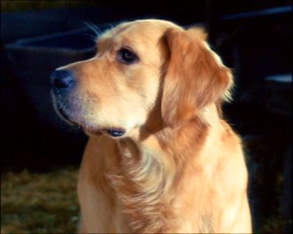 PDVD_1045.jpg